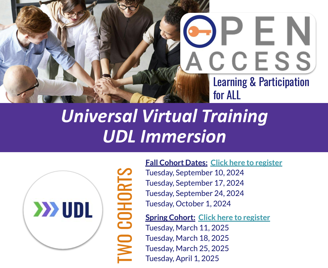 UDL Immersion flyer